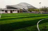 合山市体育馆人造草足球场建设方案